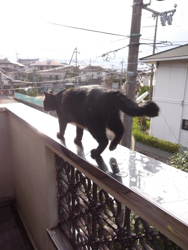 f:id:banashow:20111107082705j:image