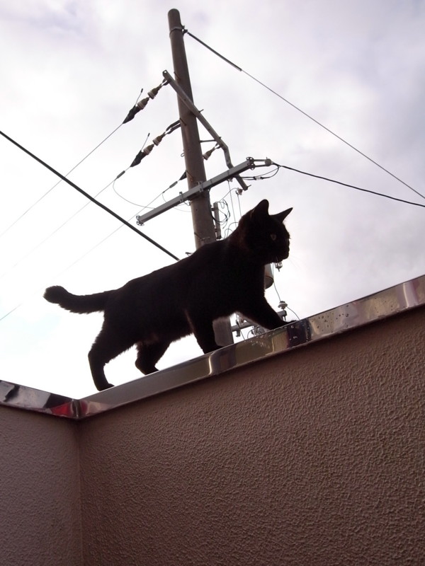 f:id:banashow:20111107082827j:image