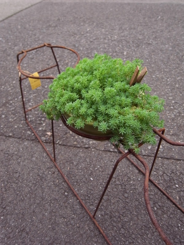 f:id:banashow:20111107155025j:image