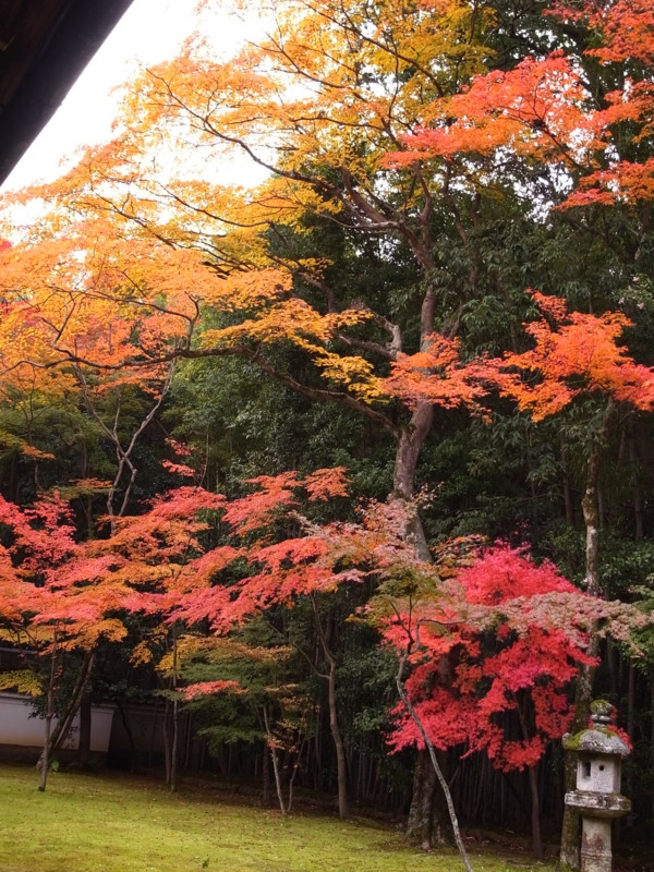 f:id:banashow:20111123122909j:image