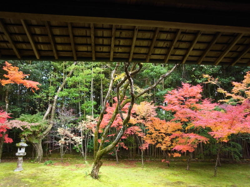 f:id:banashow:20111123123210j:image