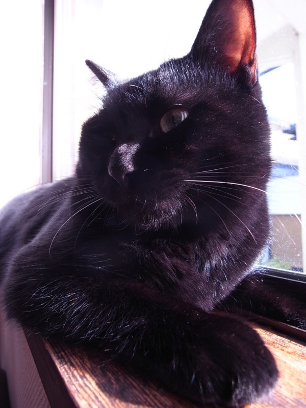 f:id:banashow:20120102101922j:image f:id:banashow:20120102101922j:image