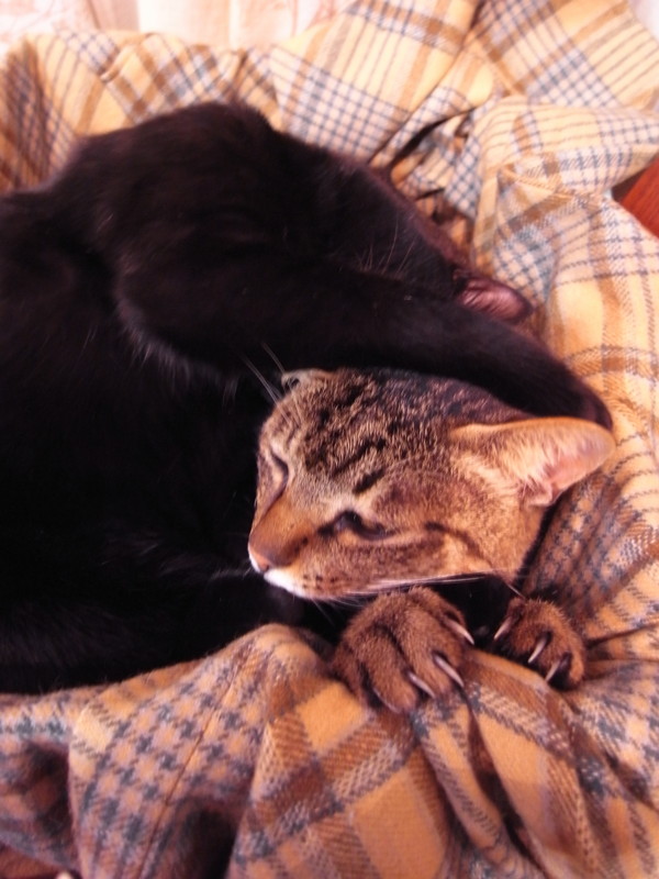 f:id:banashow:20120102203306j:image f:id:banashow:20120102203306j:image