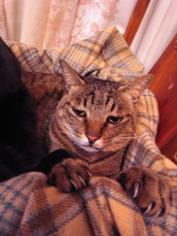 f:id:banashow:20120102203428j:image f:id:banashow:20120102203428j:image