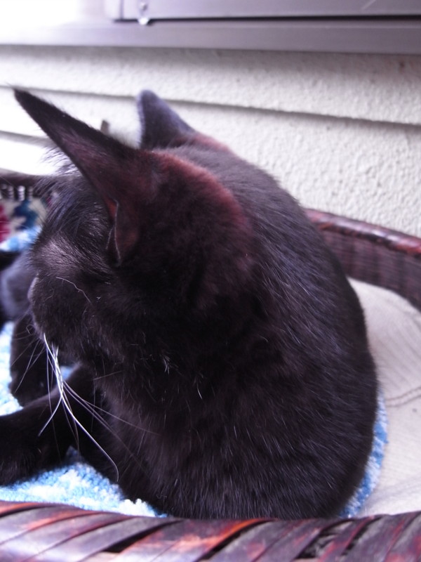 f:id:banashow:20120328131050j:image