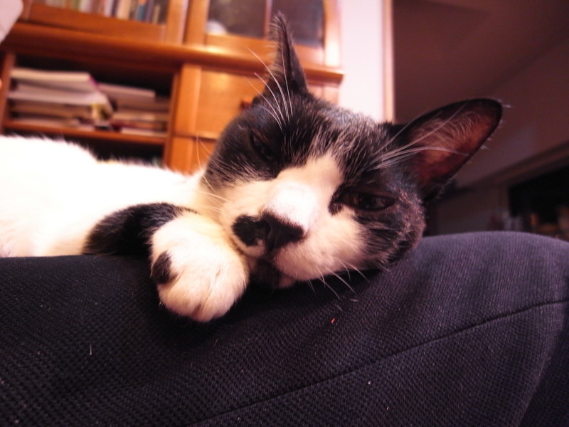 f:id:banashow:20120328200817j:image f:id:banashow:20120328200817j:image
