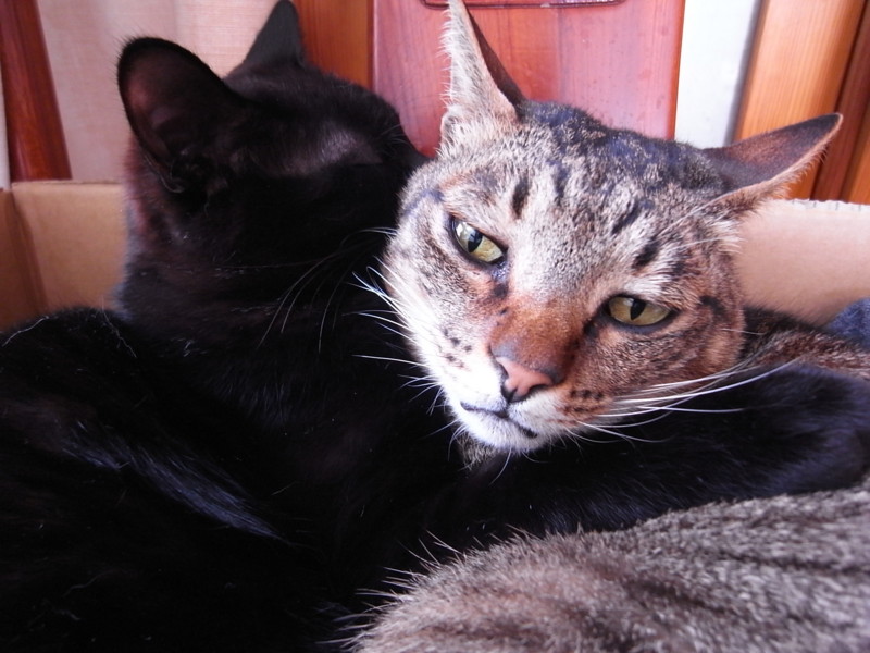 f:id:banashow:20120402090254j:image f:id:banashow:20120402090254j:image