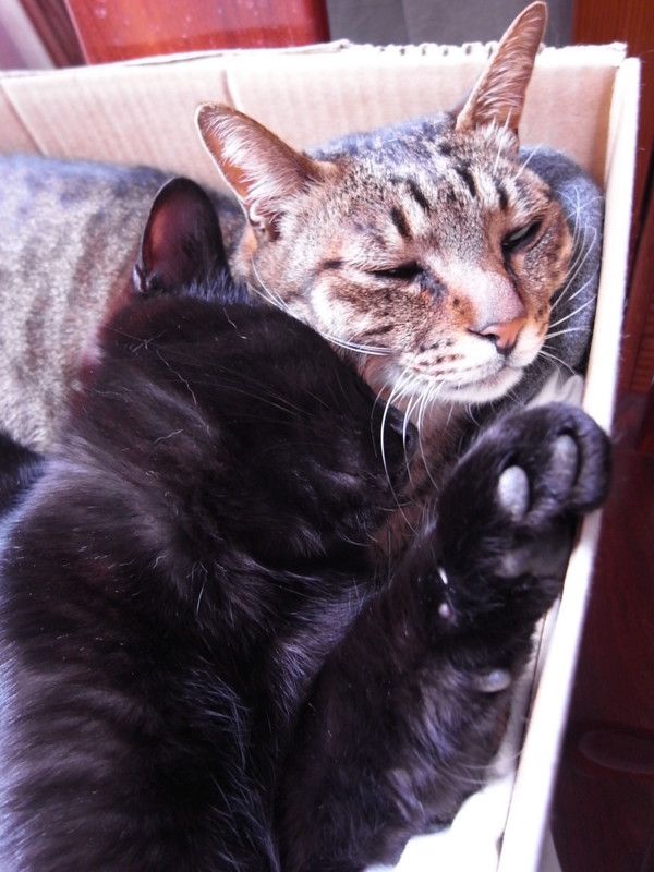f:id:banashow:20120404100142j:image f:id:banashow:20120404100142j:image