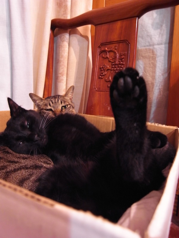 f:id:banashow:20120404202322j:image