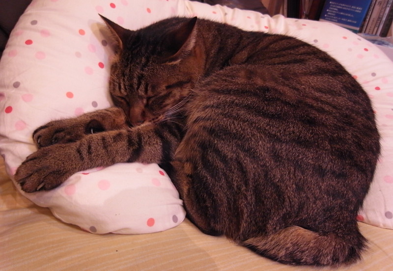 f:id:banashow:20120408212652j:image