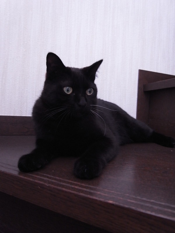 f:id:banashow:20120410095137j:image