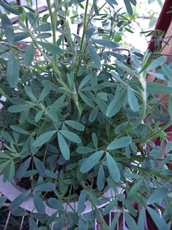 f:id:banashow:20120417133709j:image
