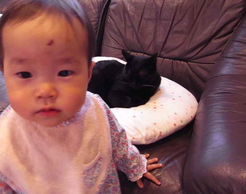 f:id:banashow:20120502160413j:image