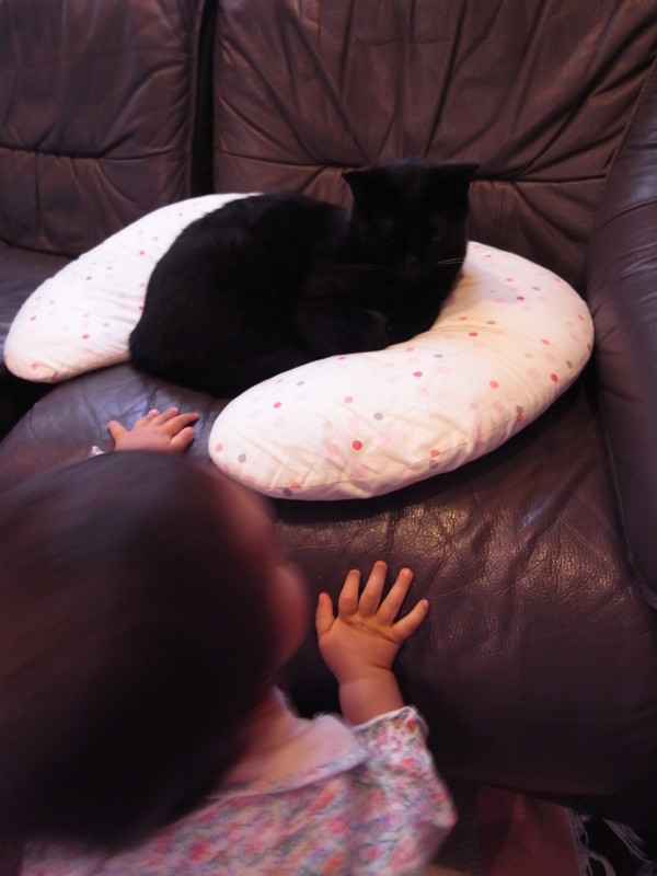 f:id:banashow:20120502160427j:image