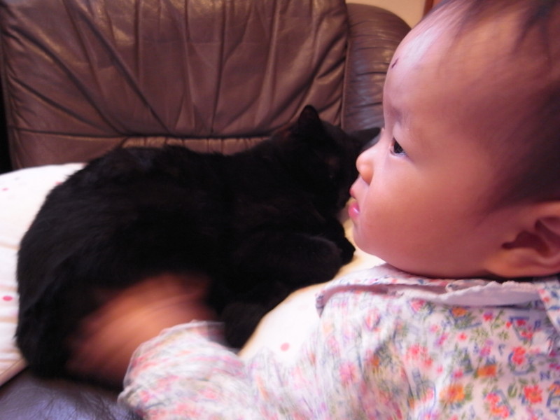 f:id:banashow:20120502160448j:image