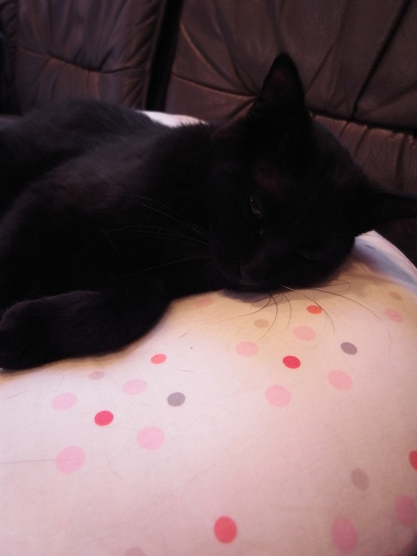 f:id:banashow:20120502160506j:image