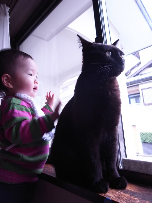 f:id:banashow:20120511084559j:image
