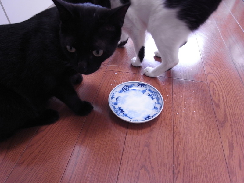 f:id:banashow:20120617094501j:image