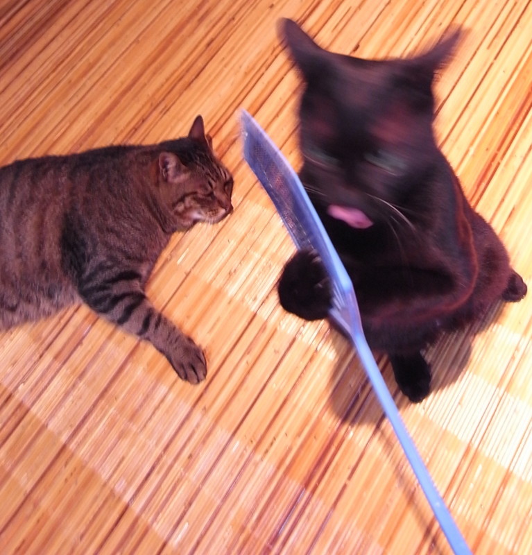 f:id:banashow:20120620170058j:image