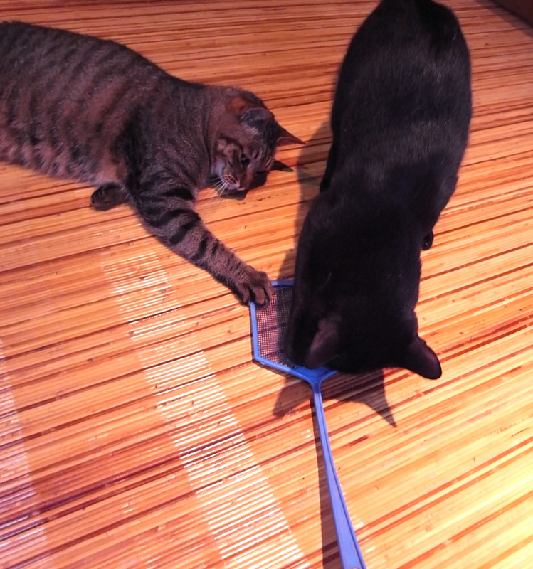 f:id:banashow:20120620170114j:image