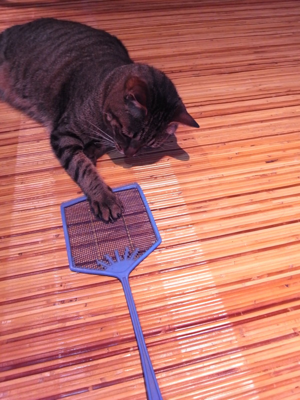 f:id:banashow:20120620170234j:image