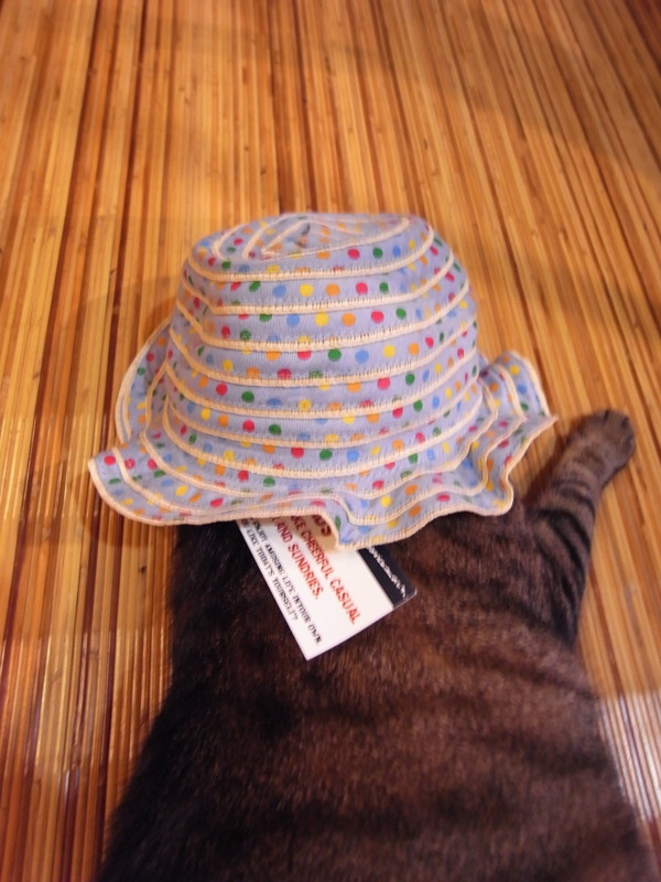 f:id:banashow:20120626202237j:image