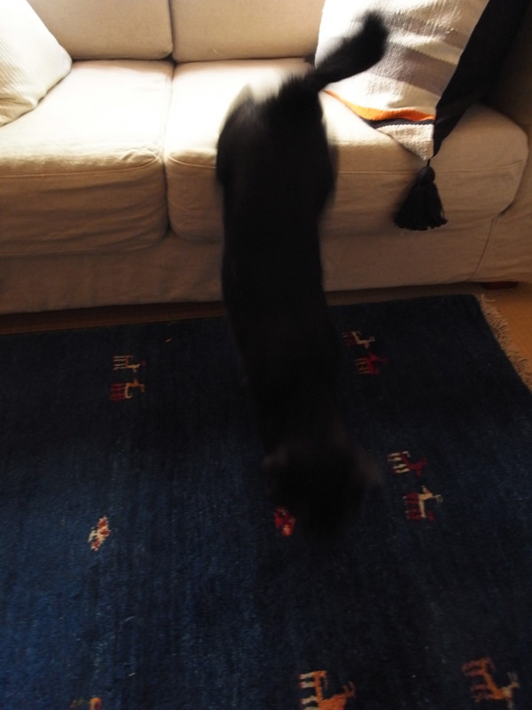 f:id:banashow:20120808170535j:image f:id:banashow:20120808170535j:image