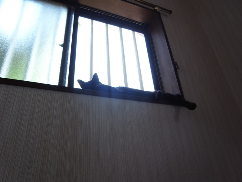 f:id:banashow:20120809091421j:image