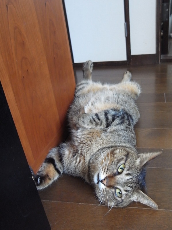 f:id:banashow:20120816114256j:image