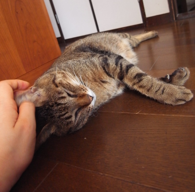 f:id:banashow:20120816114413j:image