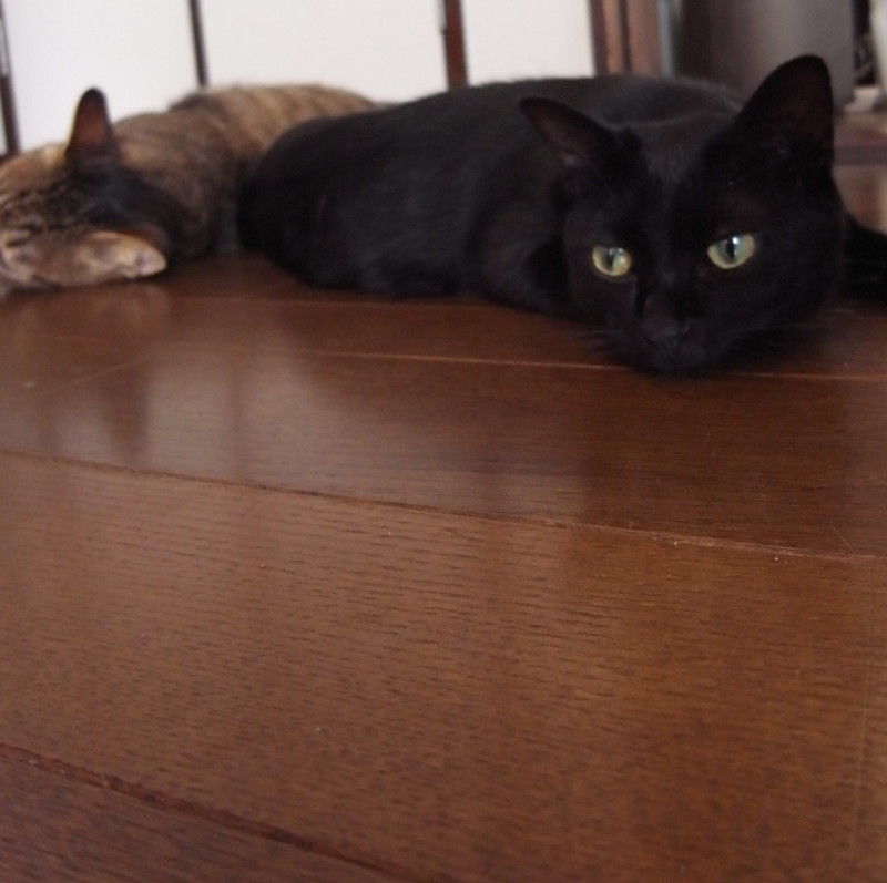 f:id:banashow:20120816142745j:image
