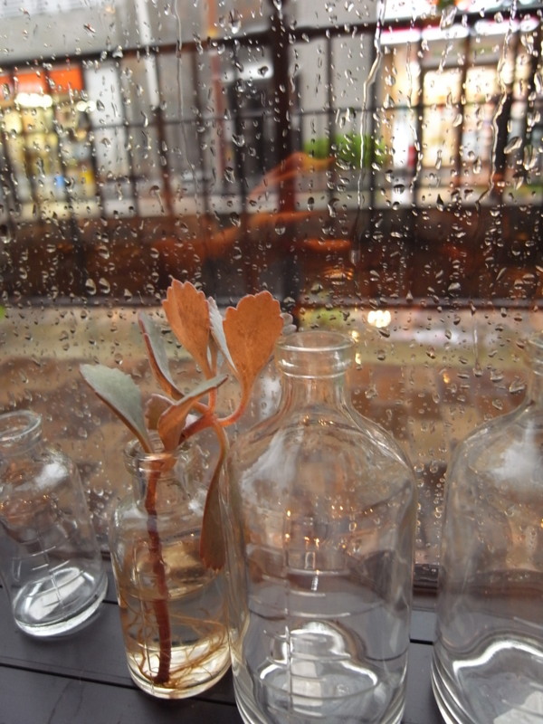 f:id:banashow:20120818155600j:image