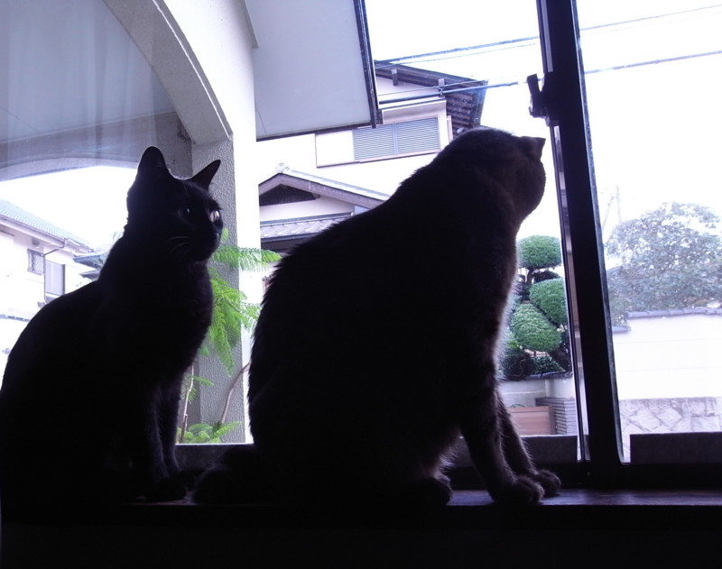 f:id:banashow:20120829152857j:image