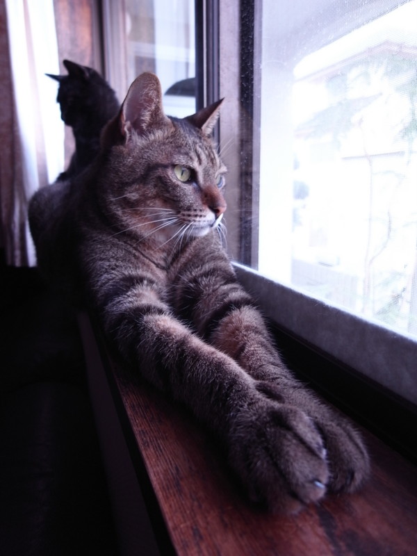 f:id:banashow:20120829152942j:image