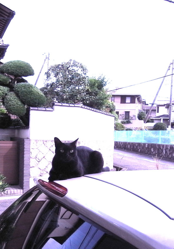 f:id:banashow:20120829153330j:image
