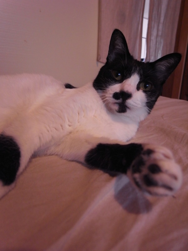 f:id:banashow:20120901093609j:image