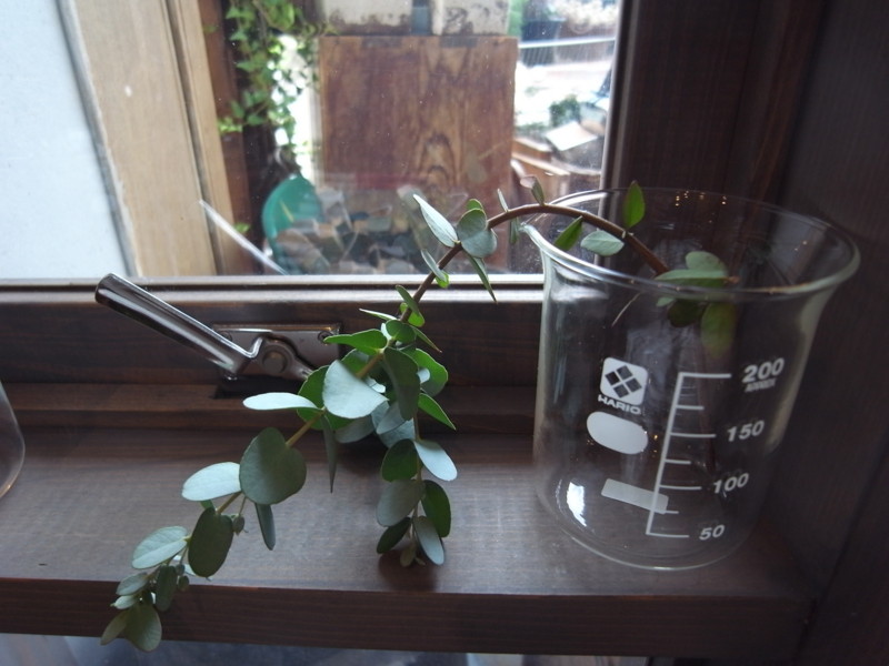 f:id:banashow:20120909130752j:image