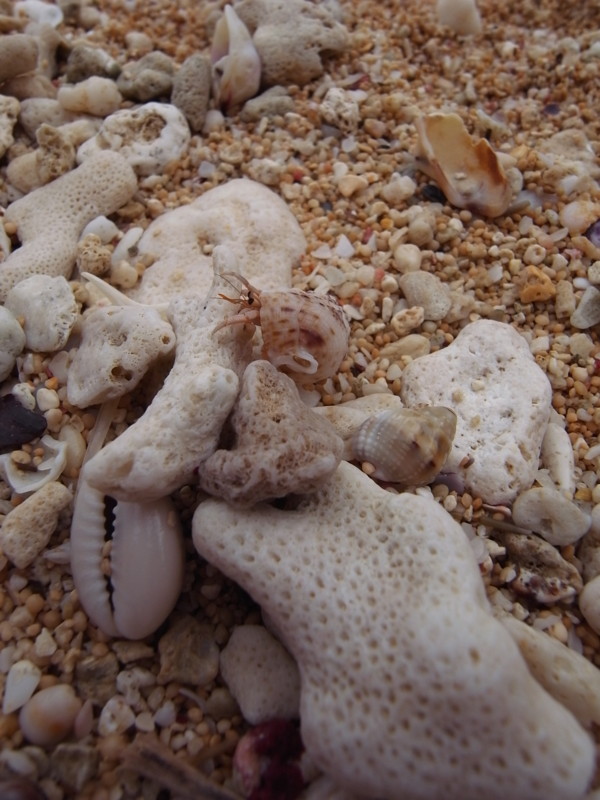 f:id:banashow:20120928121656j:image f:id:banashow:20120928121656j:image