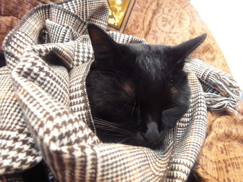 f:id:banashow:20130101134702j:image