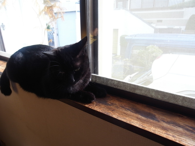 f:id:banashow:20130123093919j:image