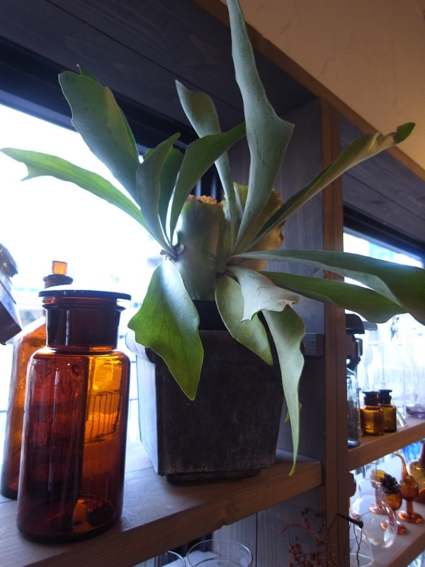 20130302155839
