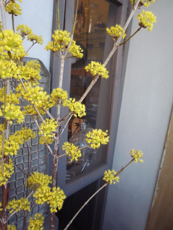 f:id:banashow:20130319160914j:image