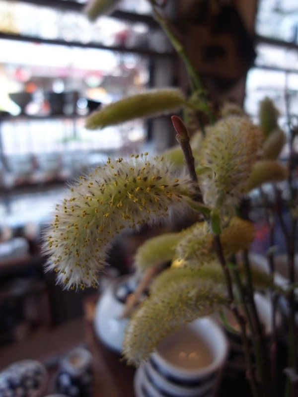 f:id:banashow:20130322141954j:image