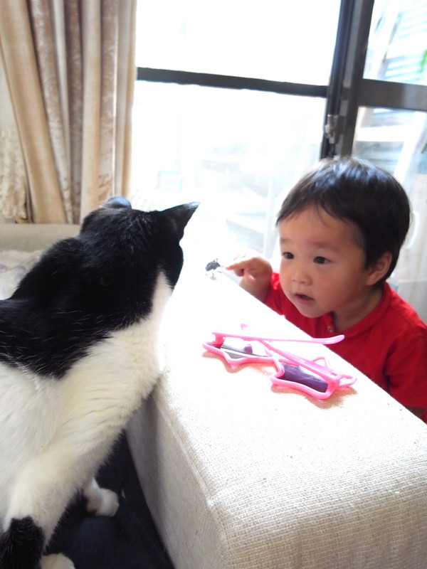 f:id:banashow:20130707094848j:image
