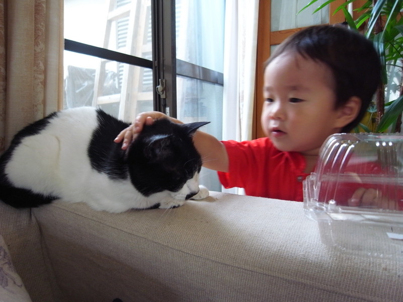 f:id:banashow:20130707095125j:image