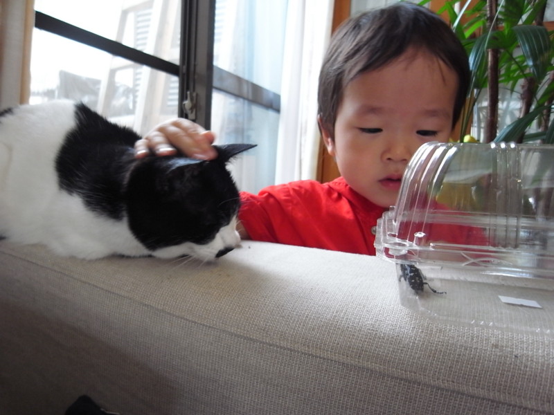 f:id:banashow:20130707095129j:image