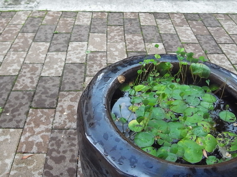 f:id:banashow:20130714161008j:image