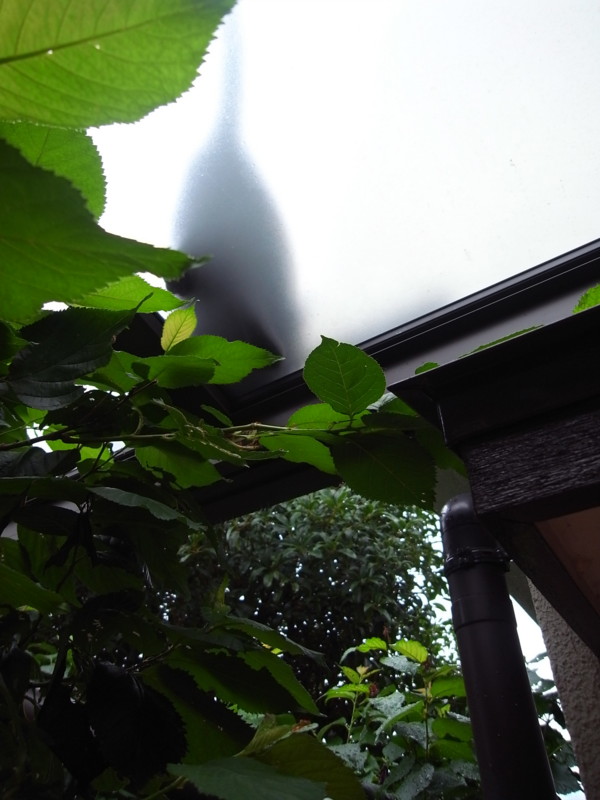 f:id:banashow:20130715090602j:image