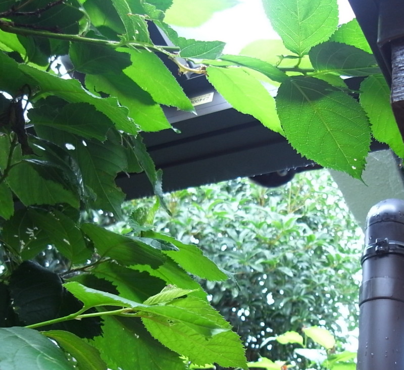 f:id:banashow:20130715090644j:image