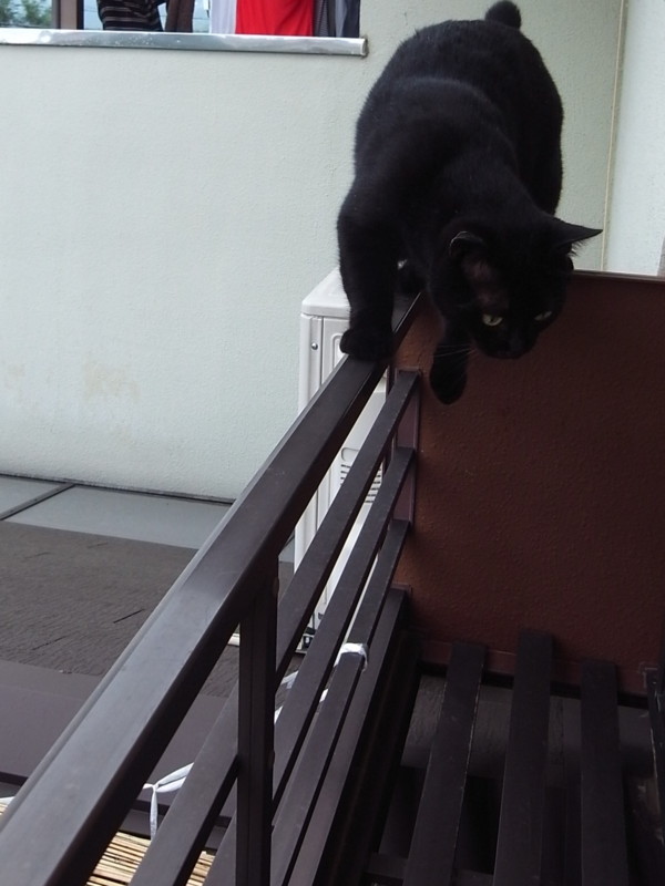 f:id:banashow:20130715091013j:image